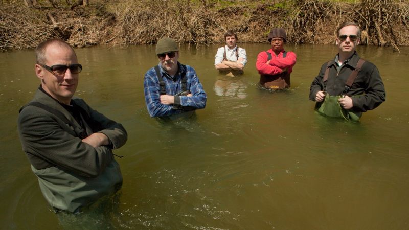 Fichier:Tortoise background.jpg